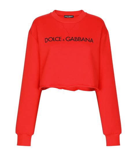 dolce gabbana pullover|Women's Dolce&Gabbana Designer Sweaters .